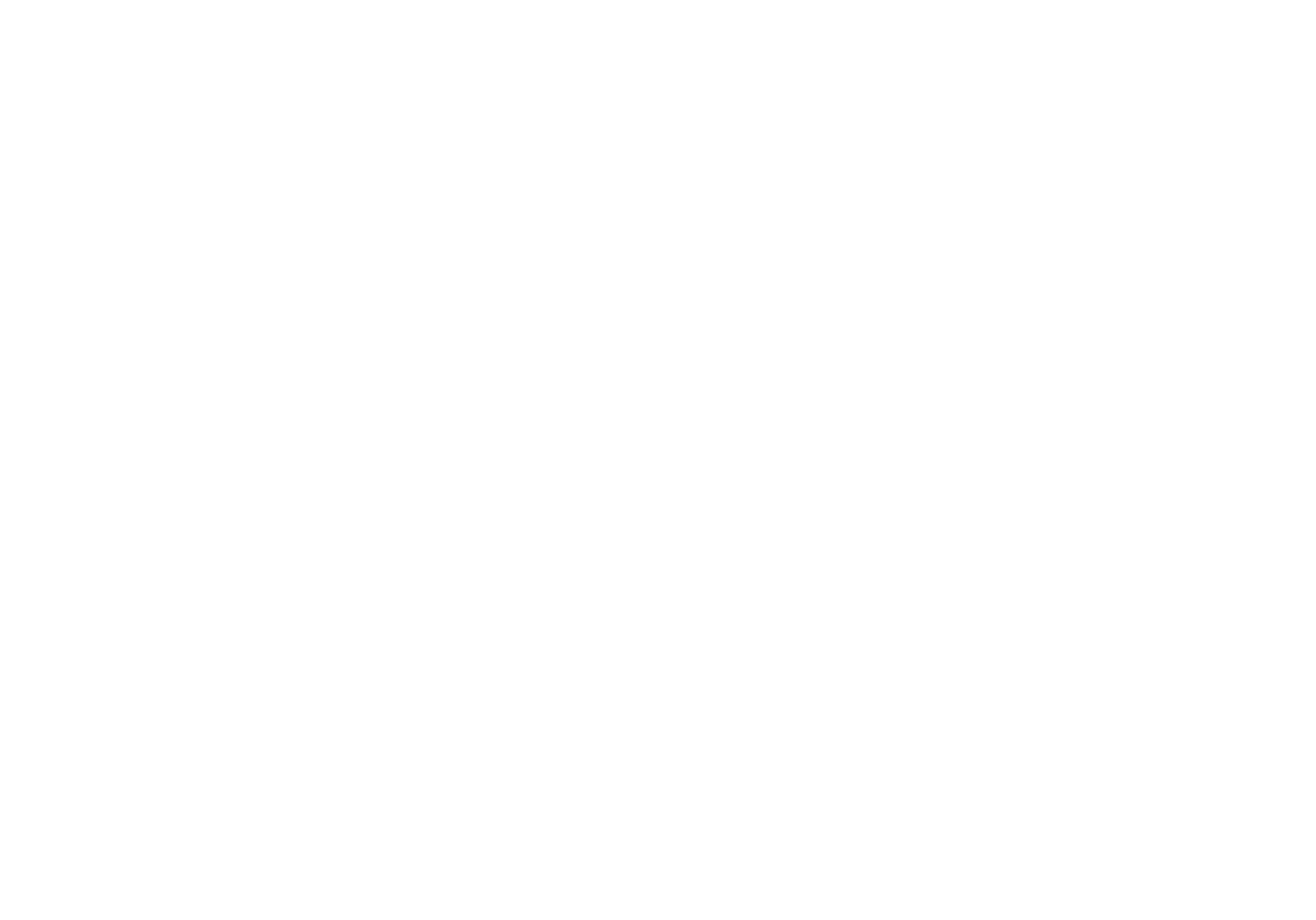 The original white Flyover Conservatives mark